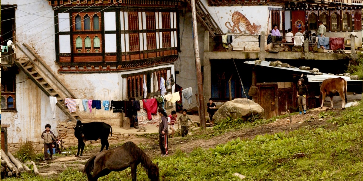Bhutanese house