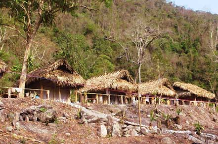 small camp in forest