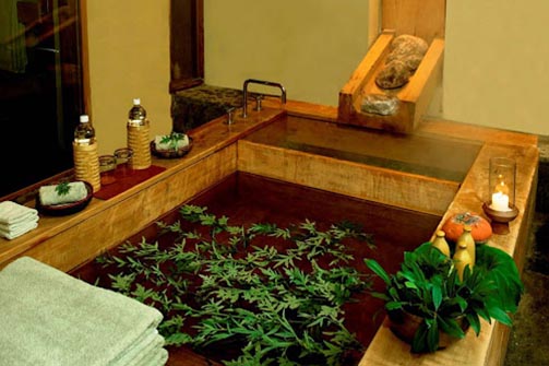 wooden room and green plant