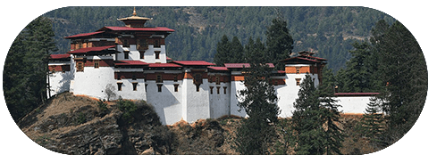 Dzong white and red color on hill